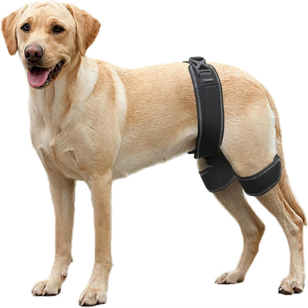 Dog Hip Orthotics Brace,Support for Hip Dysplasia,Relieve Pain Prevent Hip Joint Diseases,Help Dog Injury Recovery